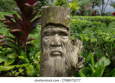 An eye-level shot capturing a rustic, detailed folk art wood carving of an elderly man with a long beard on a weathered log stump. Soft, natural daylight illuminates the texture of the wood and the patches of green moss, set against a vibrant, out-of-focus background of a tropical garden plantation. This unique artisan piece evokes a mystical, traditional, and eco-friendly atmosphere, making it ideal for travel brochures, cultural blogs, and creative woodworking editorials.