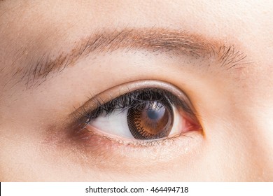 Eyes Of The Asian Woman Of The Contact Lens