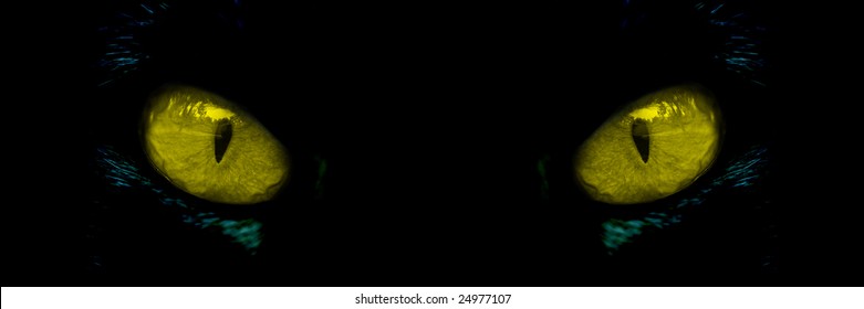 puma cat eyes
