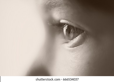 The Eyes Of A Child, On Blurred Background