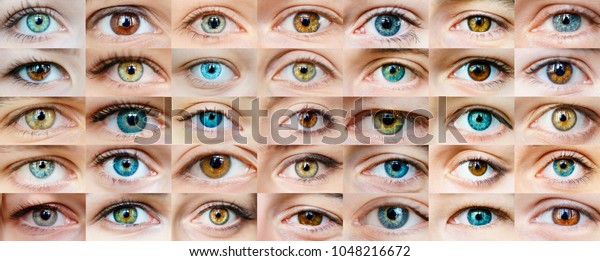 Eyes are\
many