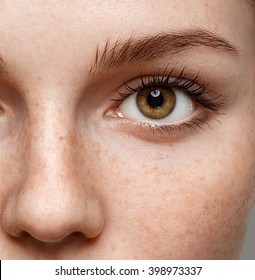 Eyes Woman Eyebrow Eyes Lashes Nose Freckles