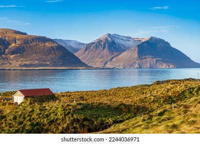 Borgarfjörður eystri is one of the safest places in Iceland to see puffins - Powered by Shutterstock