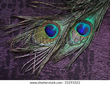 Fabric with absrtact pattern and two peacock feathers
