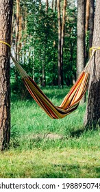 A Fabric Hammock Hanging In The Woods.