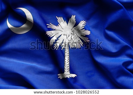Fabric texture of the South Carolina Flag - Flags from the USA