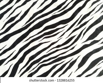 634 Zebra pattern shoes Images, Stock Photos & Vectors | Shutterstock