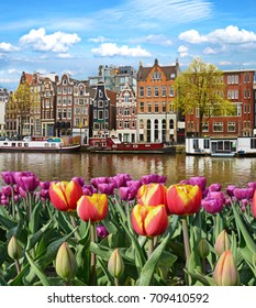 Fabulous, incredibly beautiful magical landscape with a river and tulips in Amsterdam, Holland, Europe.