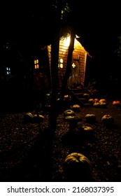 A Fabulous Little Wooden House In The Night Forest