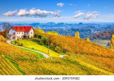 Fabulous vineyards landscape in South Styria near Gamlitz. Autumn scene of grape hills in popular travell destination Eckberg. Location: Gamlitz, district of Leibnitz in Styria, Austria. Europe.