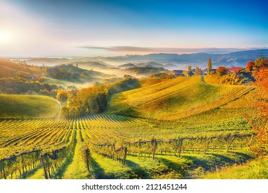 Fabulous Vineyards Landscape In South Styria Near Gamlitz. Autumn Scene Of Grape Hills In Popular Travell Destination Eckberg. Location: Gamlitz, District Of Leibnitz In Styria, Austria. Europe.