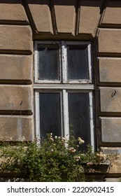 Facade Of Antique Historical Building. Windows With Flowers. Lviv, Ukraine. European Travel Photo.