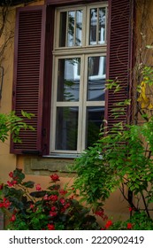 Facade Of Antique Historical Building. Windows With Flowers. Lviv, Ukraine. European Travel Photo.