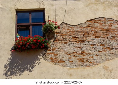 Facade Of Antique Historical Building. Windows With Flowers. Lviv, Ukraine. European Travel Photo.