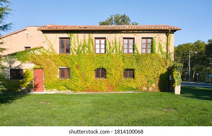 facade of a building with grating windows on the lower floor and without them on the upper floor, with ivy on the wall and a garden on the ground