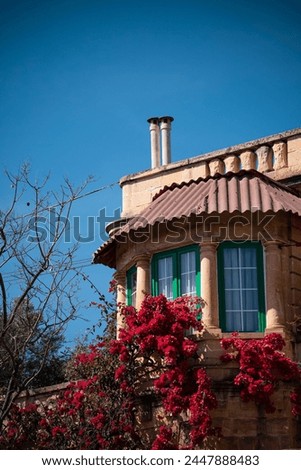 Facade of a house with a flowering tree in early spring in the capital of Malta