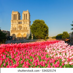 facade of Notre Dame cathedral and river  Seine at spring day with flowers, Paris,  France