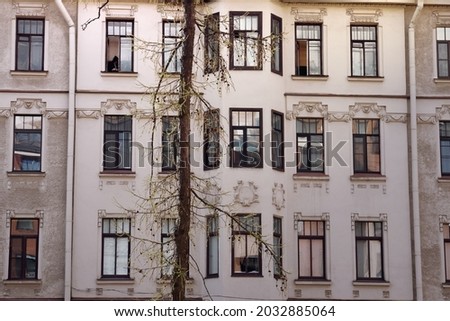 The facade of an old 19th century residential building in the historic center of St. Petersburg - rows of windows, drainpipes, a woman in one of the windows, no face is visible, a thin pine tree grows