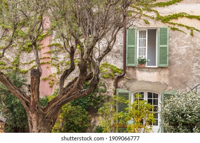 Facade of the old house in the garden, windows with green shutters.
Saint-Tropez, France.