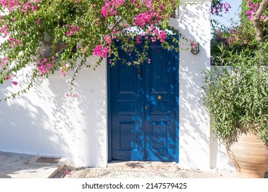 104,357 Bougainvillea Stock Photos, Images & Photography | Shutterstock