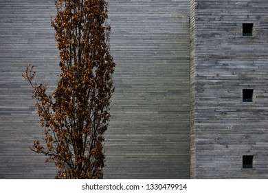 Facade with windows and a tree