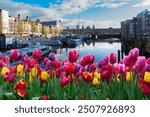 Facades of old historic Houses over canal water, Amsterdam, Netherlands