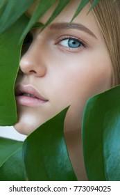 Face of beautiful young woman with clean perfect skin covered by leaves. Portrait of beauty model with natural nude make up and long eyelashes. Spa, skincare and wellness. Close up.