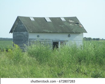 The Face in the Building