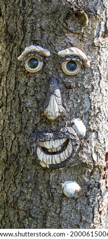 Face carved into an old tree trunk