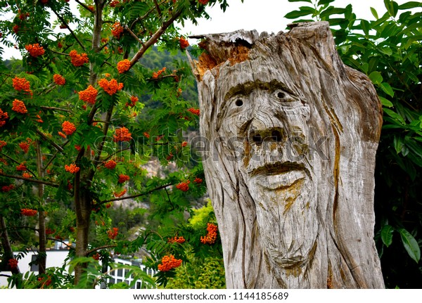 Face Carved Tree Stump Interlaken Switzerland Stock Photo Edit