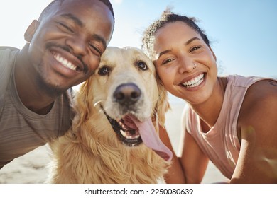 Face, dog and love with a black couple on the beach during summer walking their pet for fun or recreation together. Portrait, happy and smile with a man, woman and pet golden retriever outdoor - Shutterstock ID 2250080639