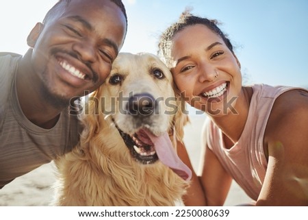 Face, dog and love with a black couple on the beach during summer walking their pet for fun or recreation together. Portrait, happy and smile with a man, woman and pet golden retriever outdoor