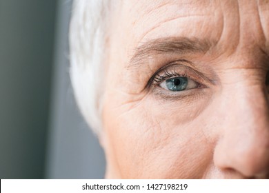 Face of elderly woman, closeup - Shutterstock ID 1427198219