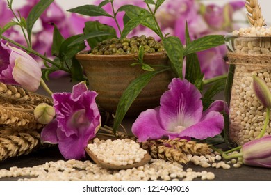 Face Mask With Barley, Mung Bean And Kariyat Green Leaves And Tree For Skin Treatment.