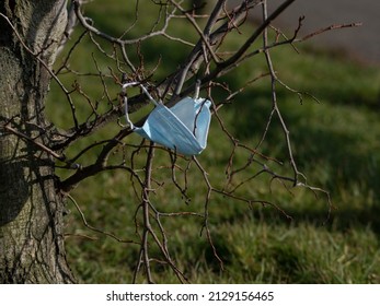 Face Mask Litter Caught In Branches Of A Tree