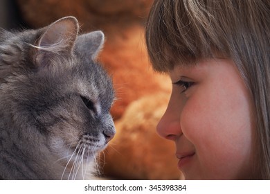 The face and muzzle cat largly. A look in the eye, the profile nose to nose. Love cat and child, friendship, relationship. Lovely, good cat and baby
