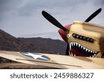 The face on an iconic World War Two fighter plane.