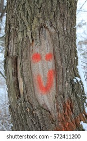 the face on the tree trunk