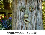 Face in Tree