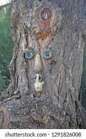 Face in the Tree