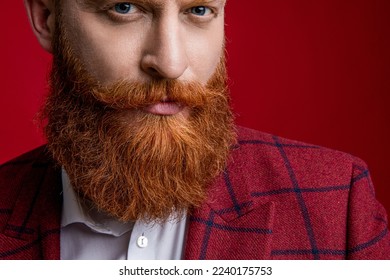 face of unshaven man with mustache in studio. cropped view of unshaven man with mustache. - Shutterstock ID 2240175753