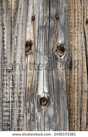 a face in the wwod