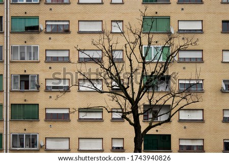 A facede an a tree