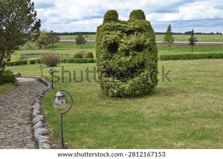 Face-shaped tree in Šeduva Park, Lithuania 