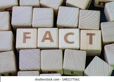 Fact, truth or knowledge that share across people and society concept, cube wooden block with alphabet combine the word Fact on black chalkboard background. - Shutterstock ID 1481177561