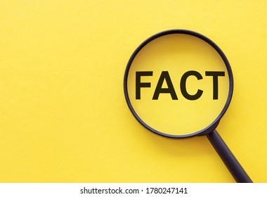 Fact - Word Through Magnifying Glass on yellow table