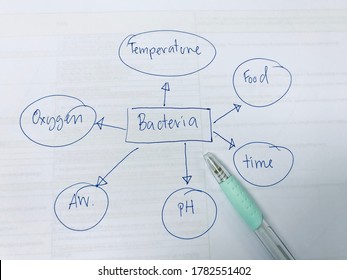 Bacterial Growth Hd Stock Images Shutterstock