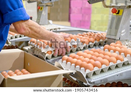 Similar – Image, Stock Photo Unrecognizable woman packing carton box with tape dispenser