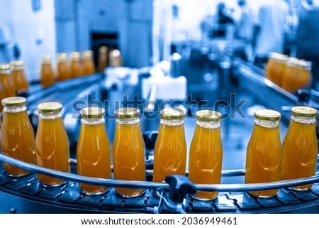 Factory interior of beverage, Production line of manufacturing and packaging juice products, Close up, Glass bottles with screw caps standing on a conveyor belt