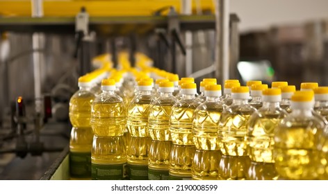 Factory for the production of edible oils. Shallow DOFF. Ukraine